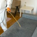 What Make Bed Bug Treatments Work Effectively