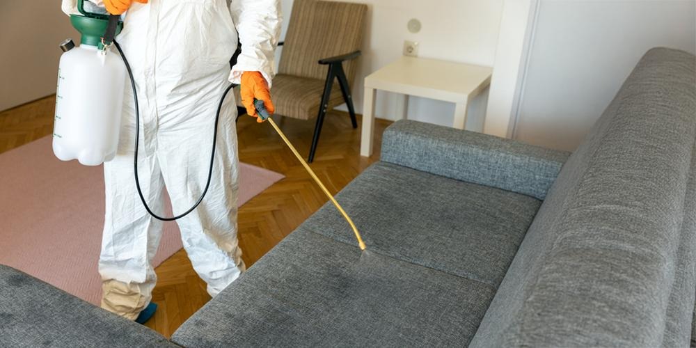 What Make Bed Bug Treatments Work Effectively