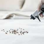 Which Bed Bug Treatments Target Mattress Infestations