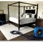 Why Bed Bug Treatments Need Multiple Applications