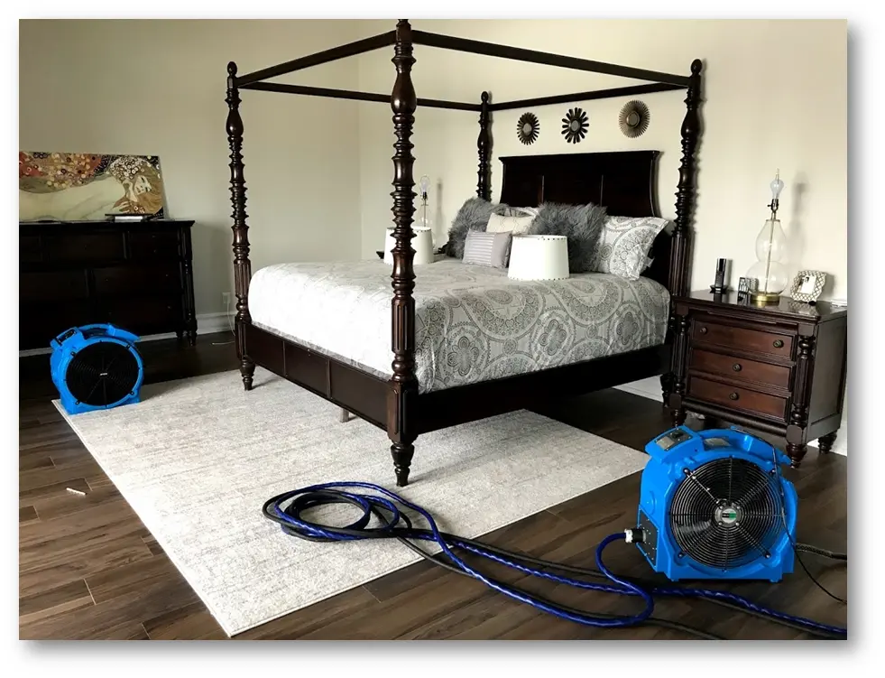 Why Bed Bug Treatments Need Multiple Applications