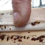 How Bed Bug Treatments Compare To Heat Methods